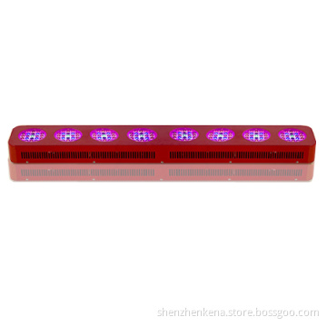 LED Lights Grow Magnum Plus LED Grow Light LED Grow Light Full Spectrum LED Grow Lights Full Spectrum 2013 LED Grow Light